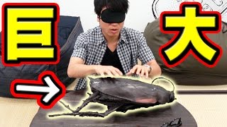 【巨大ゴキブリ】目隠しして何か当てる！