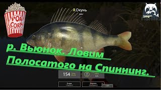 Русская Рыбалка 4. р. Вьюнок. Точка для фарма на Окуня.