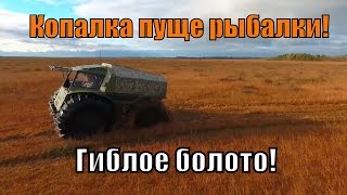 Болото Оршинский мох, на вездеходе Шерп, коп, рыбалка. ч1