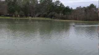 Sprengboot Tornado Explosive Boat