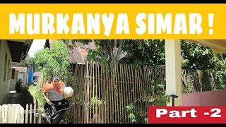 MURKANYA TEK MAR !