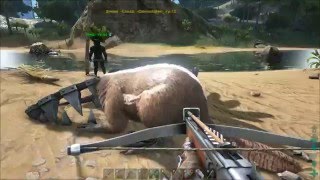ARK Survival Evolved ОБНОВЛЕНИЕ 236