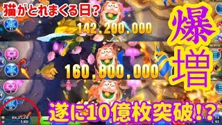 【ゴールデンホイヤー】遂に10億枚突破！？オーシャンキング2で【ノニコム】