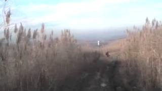 Ч П на дороге, засада в кустах с голой жопой