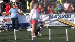 USDAA 2012 Виста эстафета ГПА