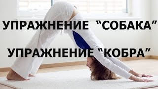 Йога. Упражнения "Собака", "Кобра".