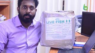 Beware of non-genuine fish seeds and non-genuine vendors while making live fish purchases.