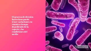 La reproducción de bacterias y hongos