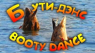 Танец Попы от Создателей Жанра! Бути Дэнс в воде! Бути Дэнс на Природе! Танец Попы Видео
