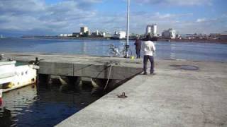 fishingmax 　岸和田港