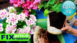 Фикс прайс горшки❤️Пересаживаю герань❤️Почему стала блогером Тип Топ Тв