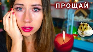 ХОМЯК ДЖЕРРИ УМЕР ПОСЛЕДНИЙ ДЕНЬ ХОМЯКА ДОМА ДО СЛЕЗ ЭЛЛИ ПЛАЧЕТ | Elli Di Pets