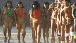 Xingu Pequi