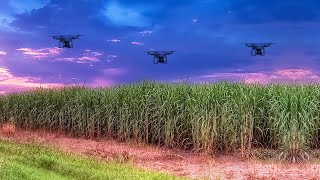 Agritech in India: How technology is changing the face of agriculture