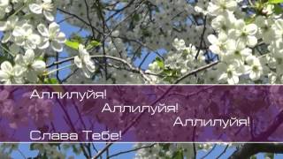 Эту песню неба ангелы поют