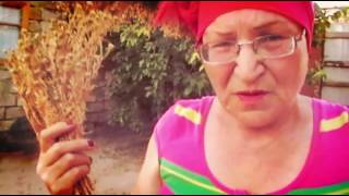 NƏNƏMİZLƏ SƏYAHƏT