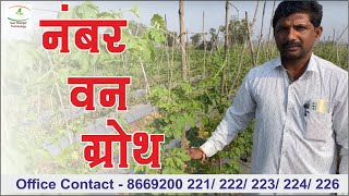 Soil charger tech. जेमतेम टेक्नोलोजी वापरूनही कारल्याची थंडीत होतेय नंबर वन ग्रोथ ☝️ सातारा वाठार