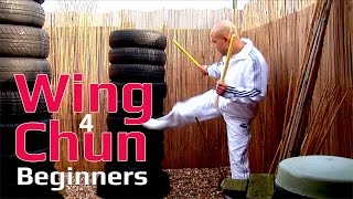 Wing Chun for beginners lesson 60:Full energy drill & Training courses