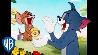 Tom y Jerry en Español ???????? | Reto de no reírse