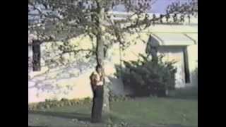 Constantin Draghici - "A cazut o frunza-n calea ta "