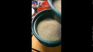 EARTHQUAKE - Micron Gold Recovery