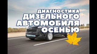 ДИАГНОСТИКА ДИЗЕЛЬНОГО АВТОМОБИЛЯ ОСЕНЬЮ | ОСОБЕННОСТИ