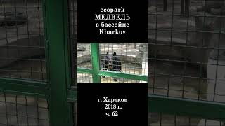  ЭкоПарк Харьков ч.62 / МЕДВЕДЬ в бассейне / 2018 г. #shorts
