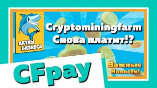 ВНИМАНИЕ! БОЛЬШЕ НЕ ПЛАТИТ! НЕ ВКЛАДЫВАТЬ!