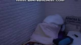 Miljana Kulic i Zola u vreloj akciji ! 19.11.2019