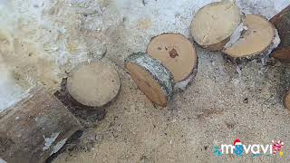 испытываю пилу штиль мс 271  что купил. нашлись мелкие касеки. ЧАСТЬ 1.