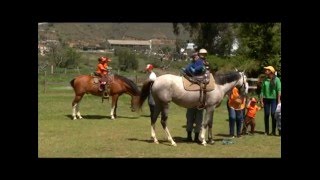 Reportaje Café TV Granja del Tío Mario