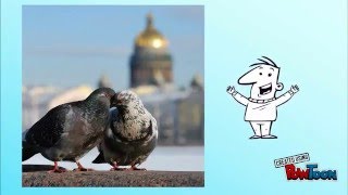 Лечение в СПБ: алкоголизм, наркомания, игромания, табакокурение.