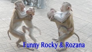 Super Funny 2 Sibling Baby Rocky Hug His Sister Under The Chest Walking Around
