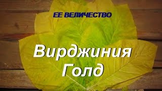 ДНЕВНИК ТАБАКОВОДА № 31 (14.07 О СОРТЕ ТАБАКА ВИРДЖИНИЯ ГОЛД ) ТАБАК