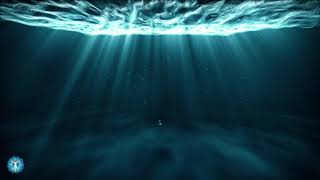 Happiness Frequency By Brainwave - Serotonin, Dopamine, Endorphin Release Music,Binaural Beat Music