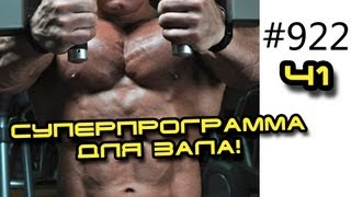 Программа для тренажерного зала. Часть 1. Еще есть Часть 2!  Двойной сплит - на два раза в неделю.
