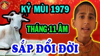 Tử vi Kỷ Mùi 1979 May Mắn, Giàu Có Hay Vận Hạn Thế Nào Trong Tháng 11 Âm Lịch