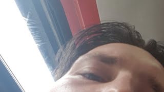 Delfín Asturiano Liada En El Bus