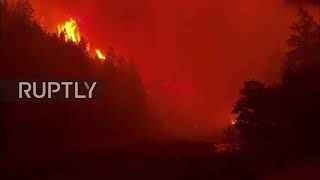 USA: California"s Dixie wildfire destroys homes as blazes batter western states