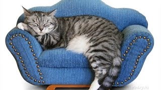 Набор Ножей для Карвинга 'Borner'   И вы настоящий профессионал!