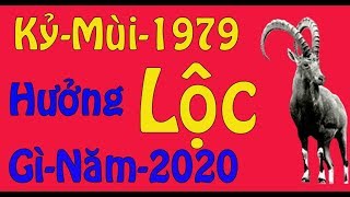 Tiền Bạc Vận Hạn Của Người Tuổi Kỷ Mùi 1979 Trong Năm 2020