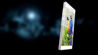 Blackview Arrow Commercial