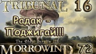 [72/16] TES III Morrowind  [Fullrest Repack v.1,4] Радак - Поджигай