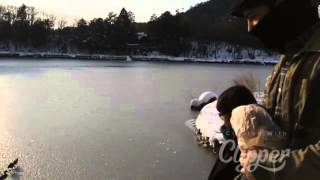 Patinhos no lago congelado （・◇・）かわいいアヒル