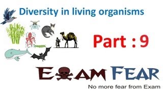 Biology Diversity in Living Organisms part 9 (Fungi) CBSE class 9 IX