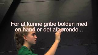 U12   øvelse 321