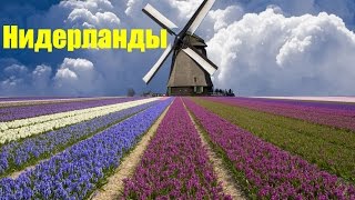 Нидерланды (Netherlands)/ С высоты птичьего полета