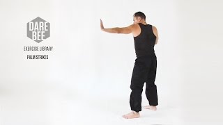 Exercise Library: Palm Strikes