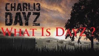 What Is DayZ - DayZ Standalone