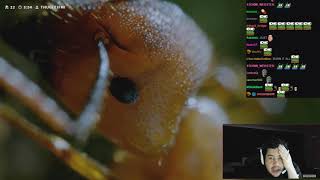 Greekgodx reacts to: 'Zombie' Parasite Takes Over Insects Through Mind Control